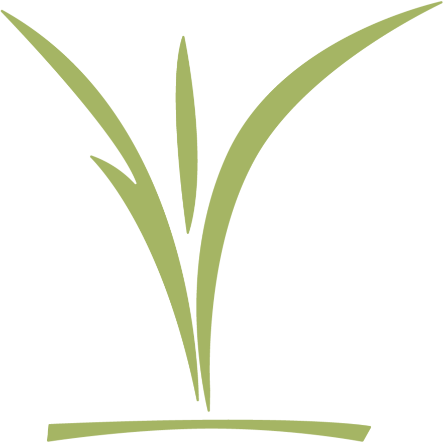 Ccc Childrens Logo Green - Grass (1000x999), Png Download