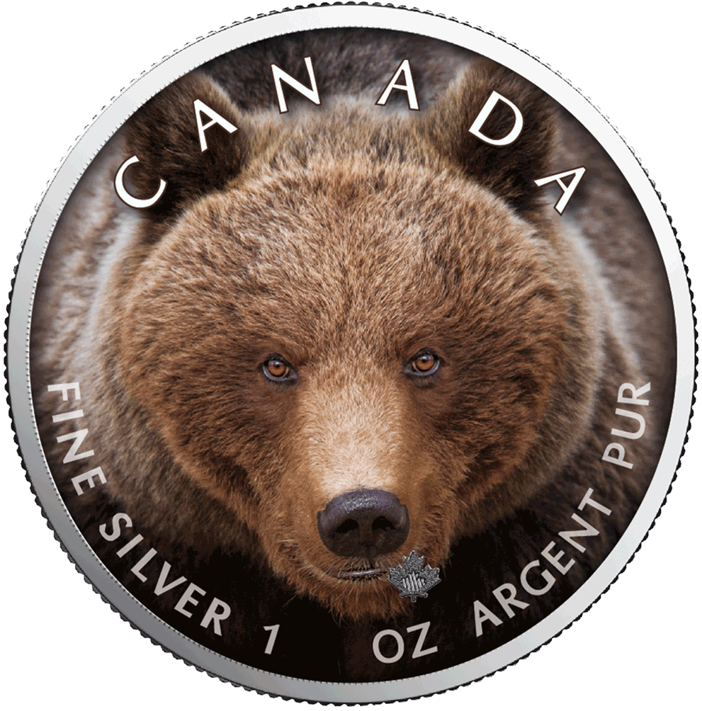 Ibca201956 1 - Canadian Gold Maple Leaf (1024x1024), Png Download