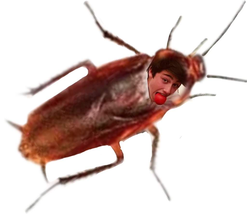 Bug (1024x896), Png Download