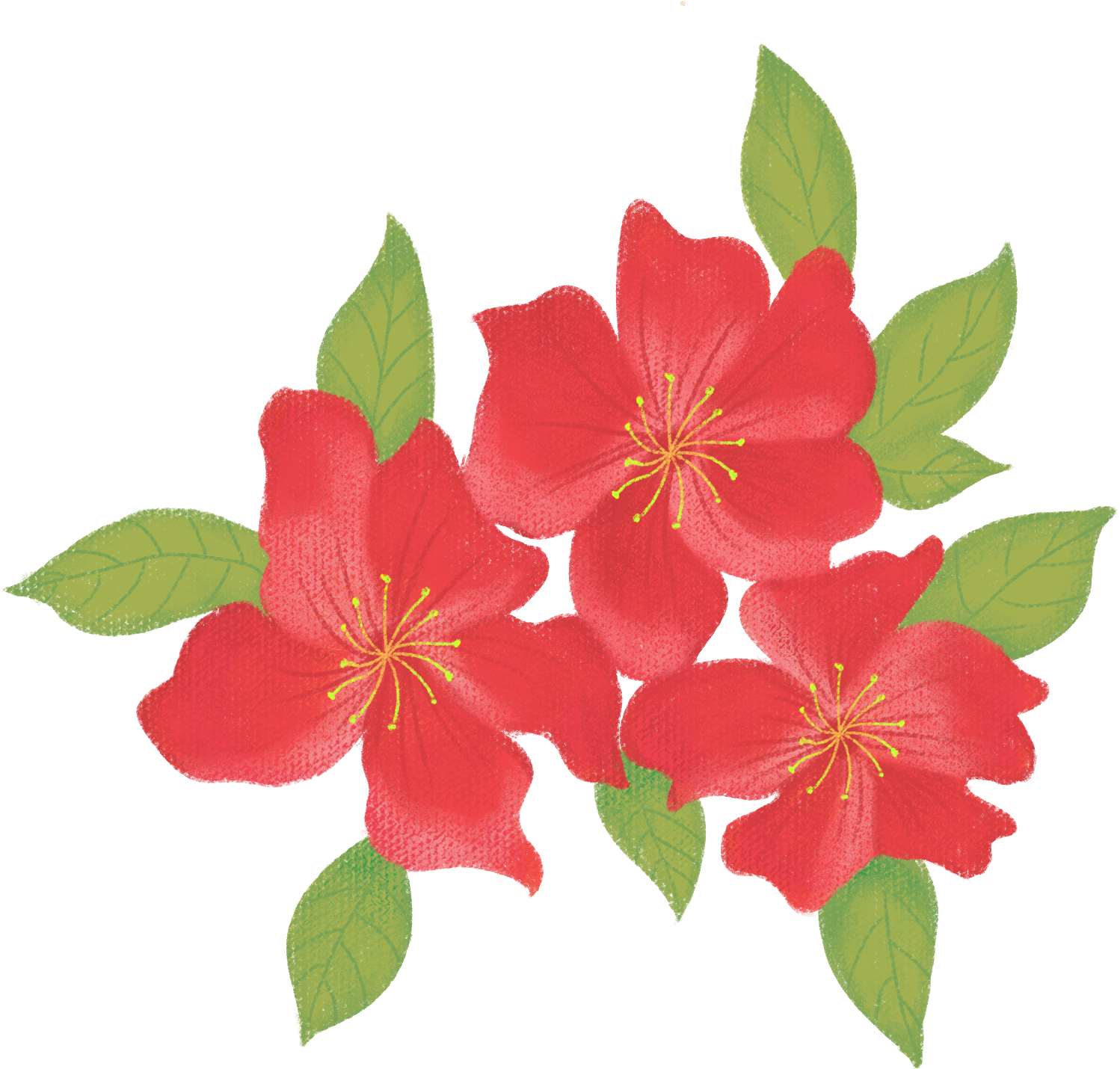 Vento Disegnato A Mano Azalea Fiore Commerciale Png - Rosa Rubiginosa (2000x2000), Png Download