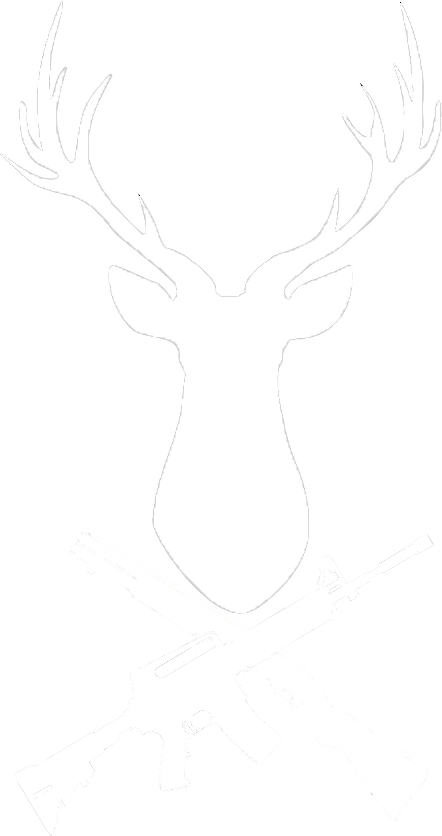 Logo - Expecto Patronum (442x836), Png Download