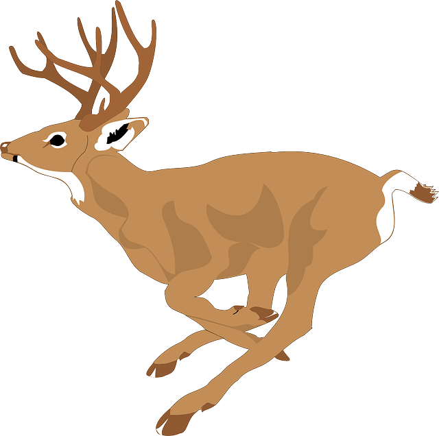 Deer, Run, Side, View, Forest, Leaping, Animal, Fast - Deer Running Clipart (640x636), Png Download