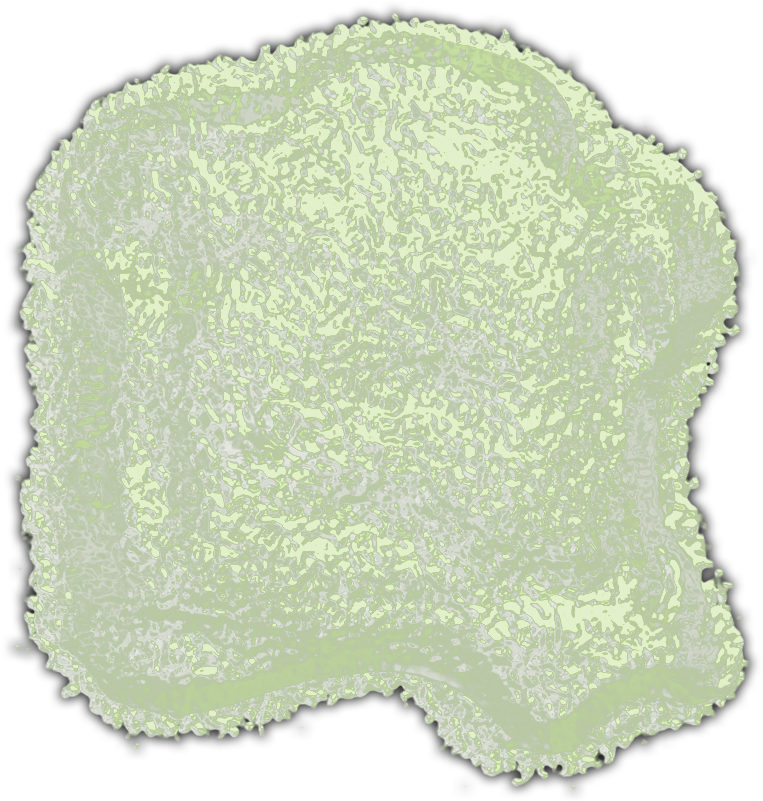 Gargantuan Zic-b - Grass (800x800), Png Download