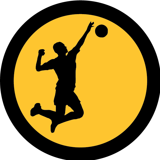 Download My Vibe - Volleyball - Volleyball Silhouette PNG Image with No ...