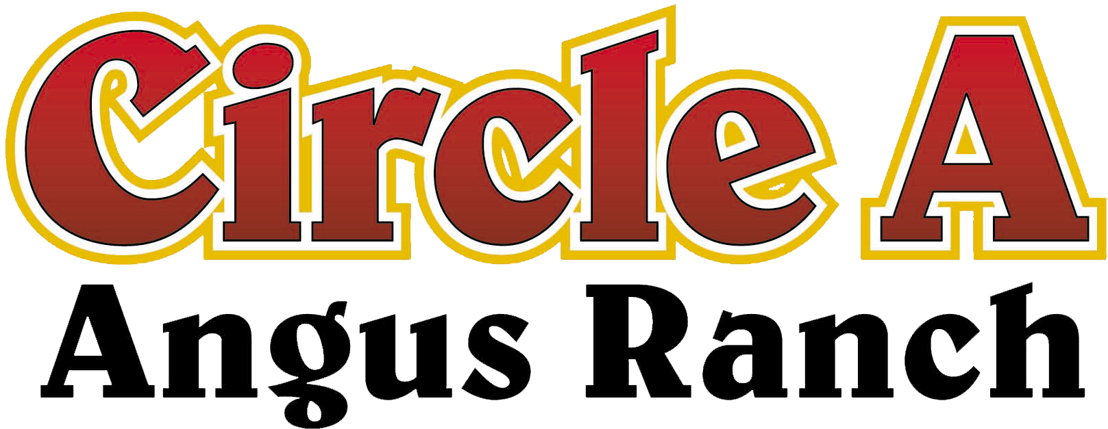 Circle A Ranch - Castle Of Jaroměřice Nad Rokytnou (1637x642), Png Download