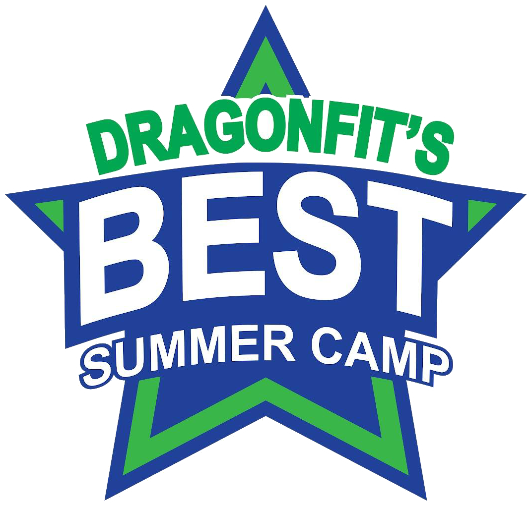 Dragonfits Best Summer Camp - Mision Medica (1209x1070), Png Download