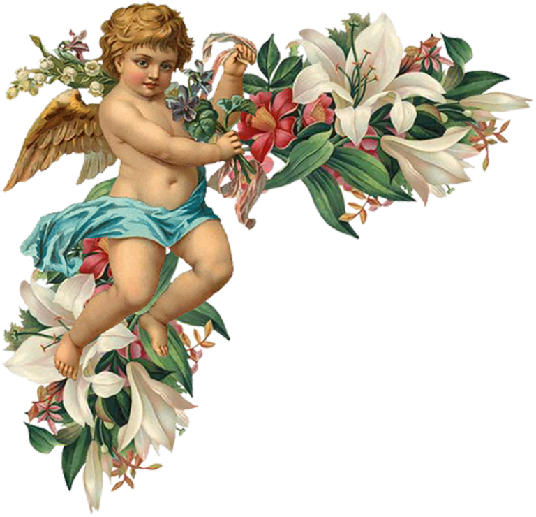 Engel Auf Blumenranken - Angels With Flowers Png (768x740), Png Download