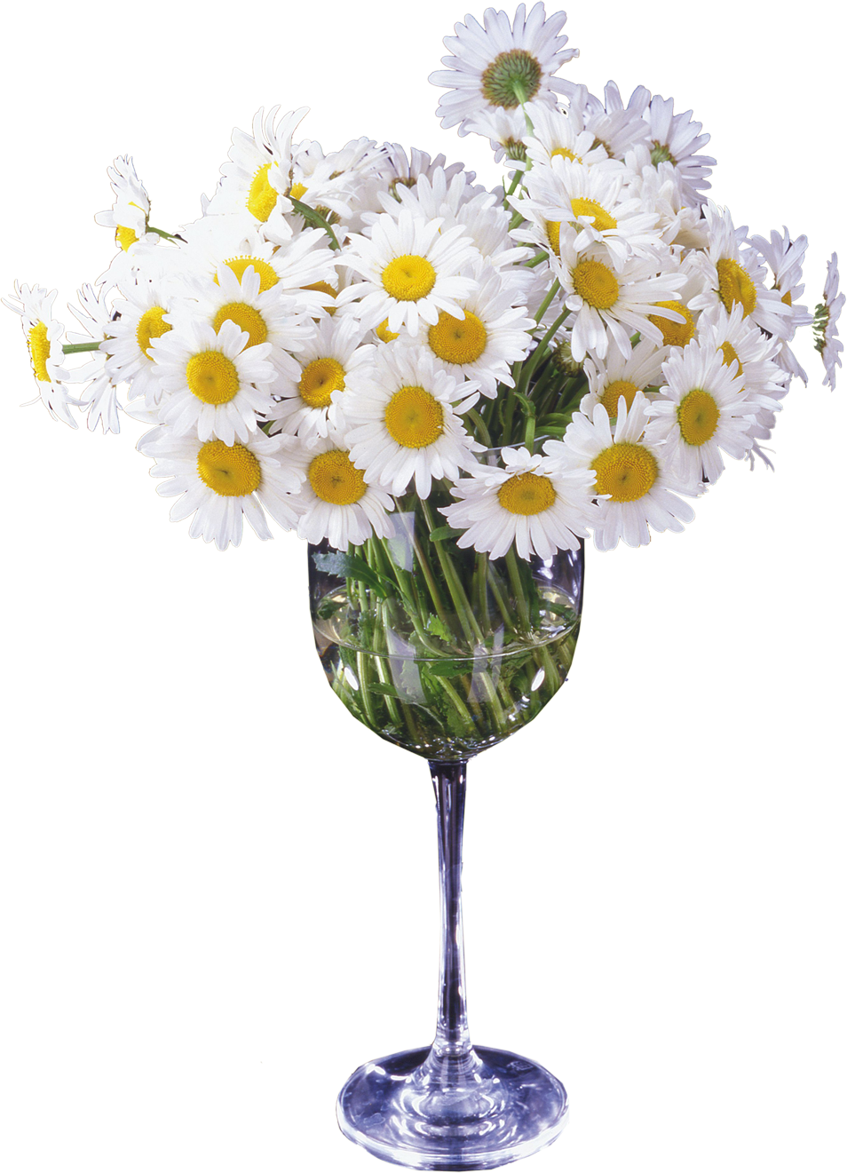 Vaso De Flor (954x1321), Png Download