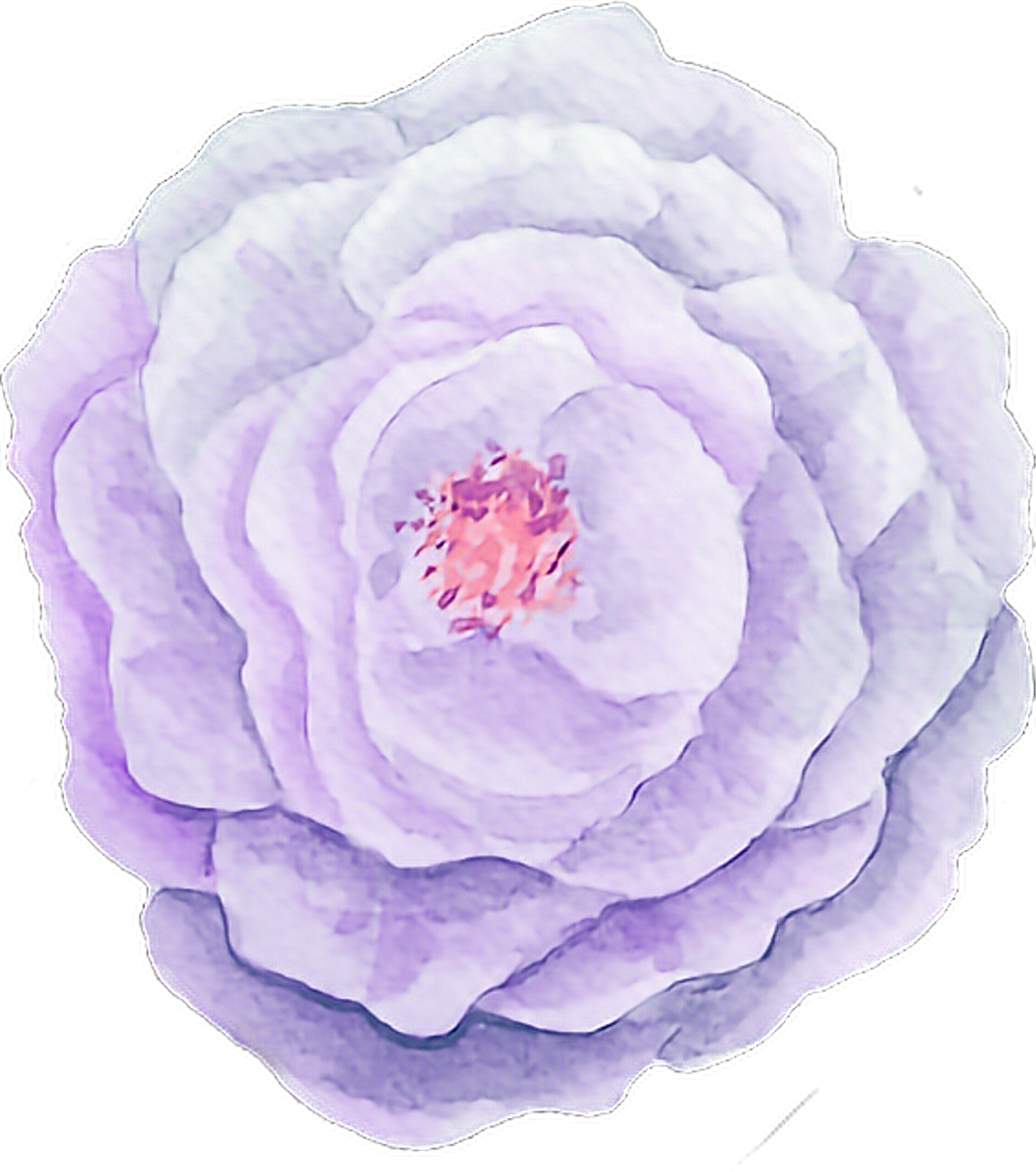 Pink Sticker - Watercolor Painting (1024x1158), Png Download