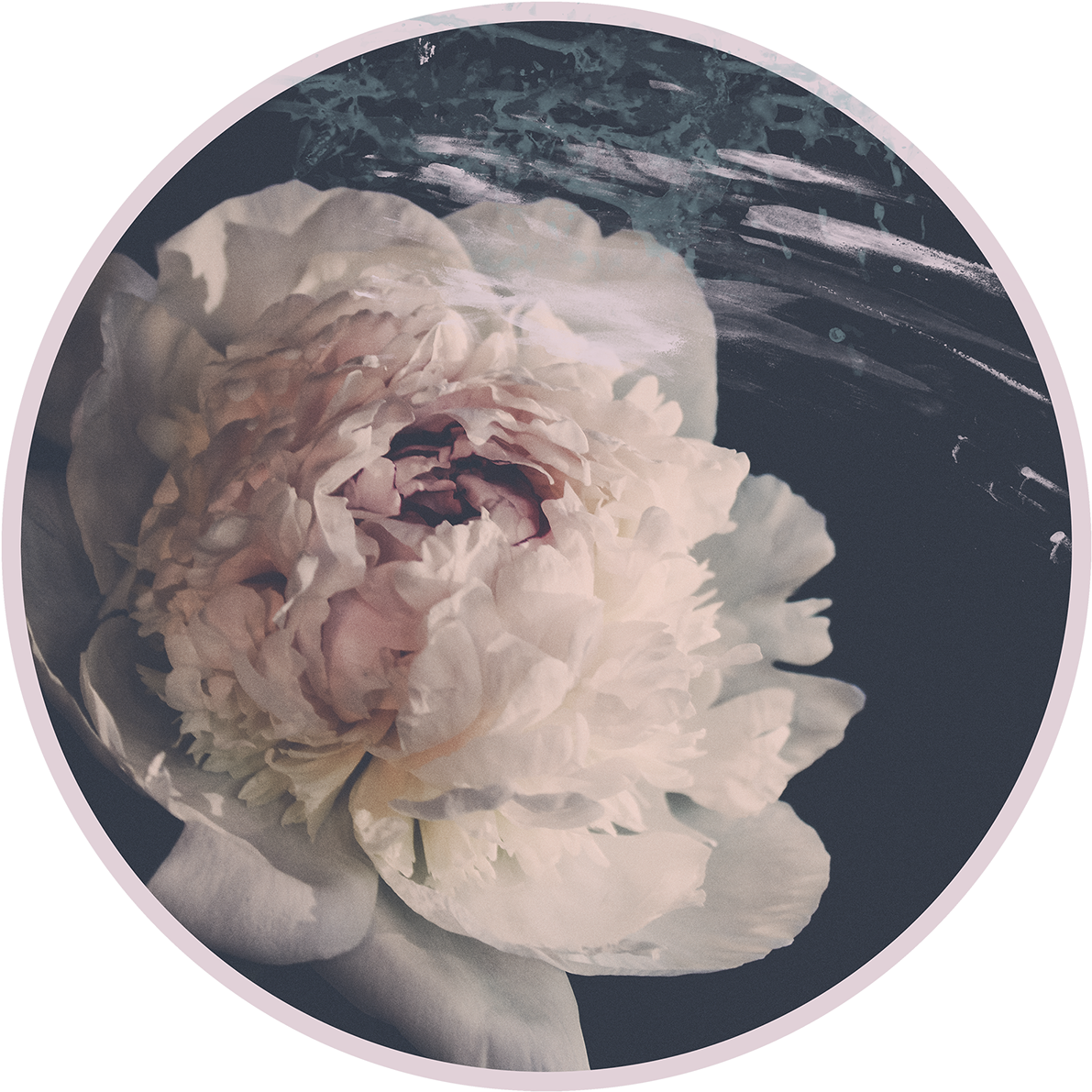 Save To Collection - Common Peony (1200x1200), Png Download