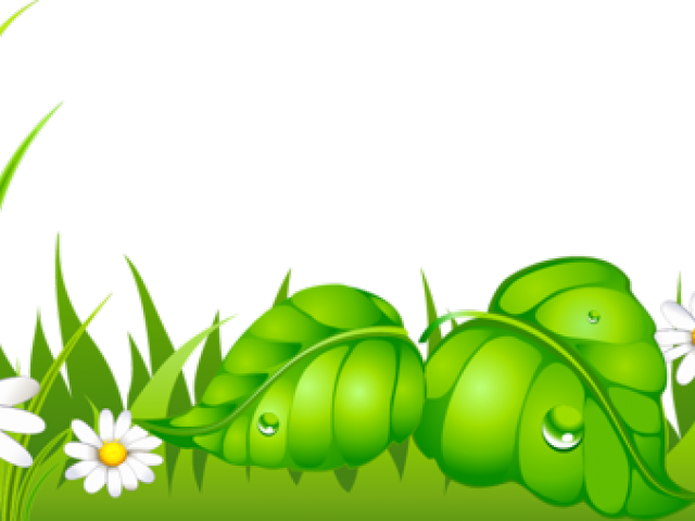 Lawn Clipart Ground Grass - Grama Com Margaridas E Joaninha (640x480), Png Download