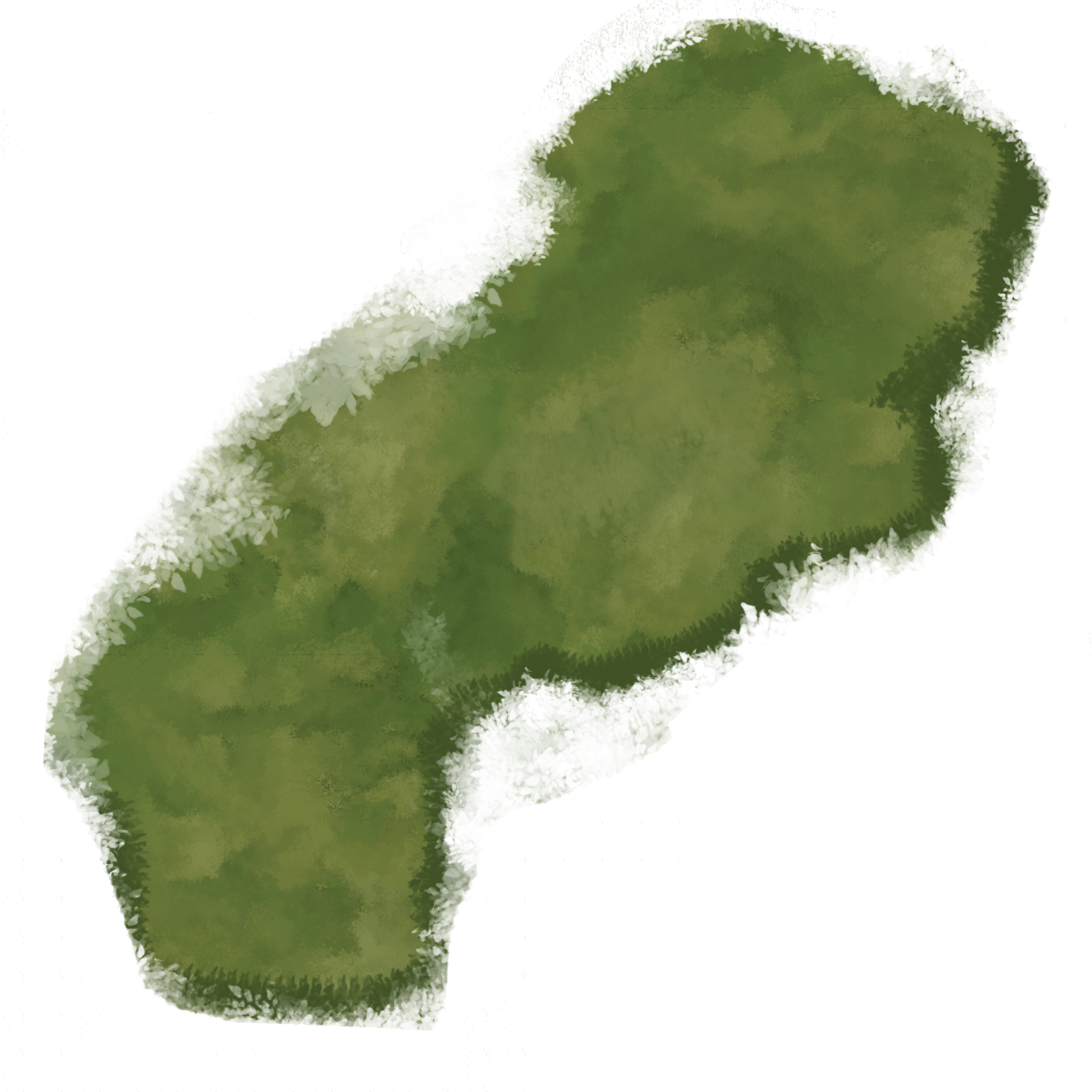 51181-np01 Grasspatch01 - Chlorophyta (1400x1400), Png Download