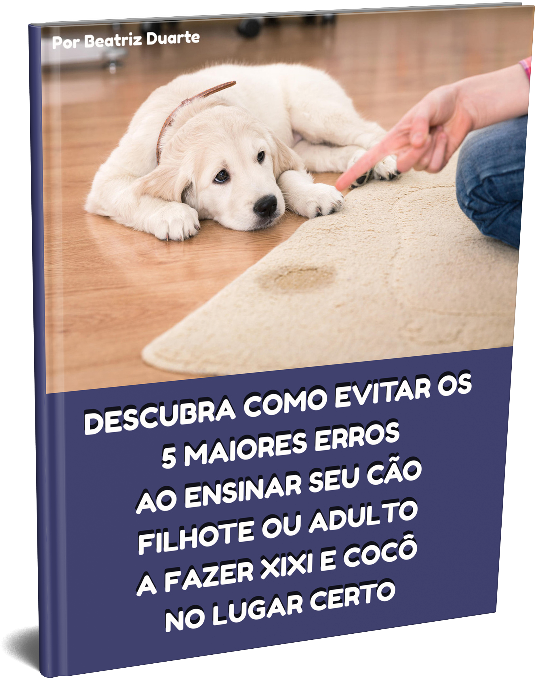 Nome Do Arquivocapa Fundo Transparente - Puppy (1859x2357), Png Download