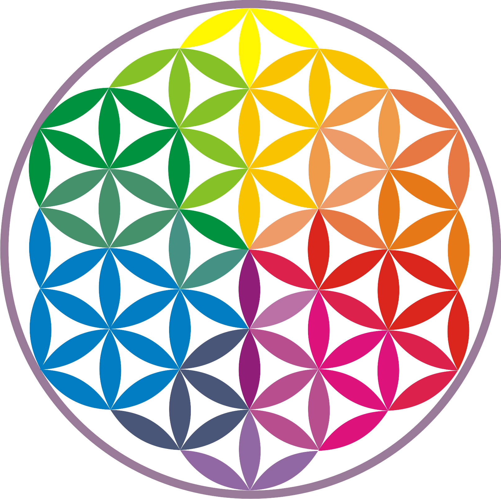 Logo Flor Da Vida Colorida Fundo Transparente - Flower Of Life (1615x1611), Png Download
