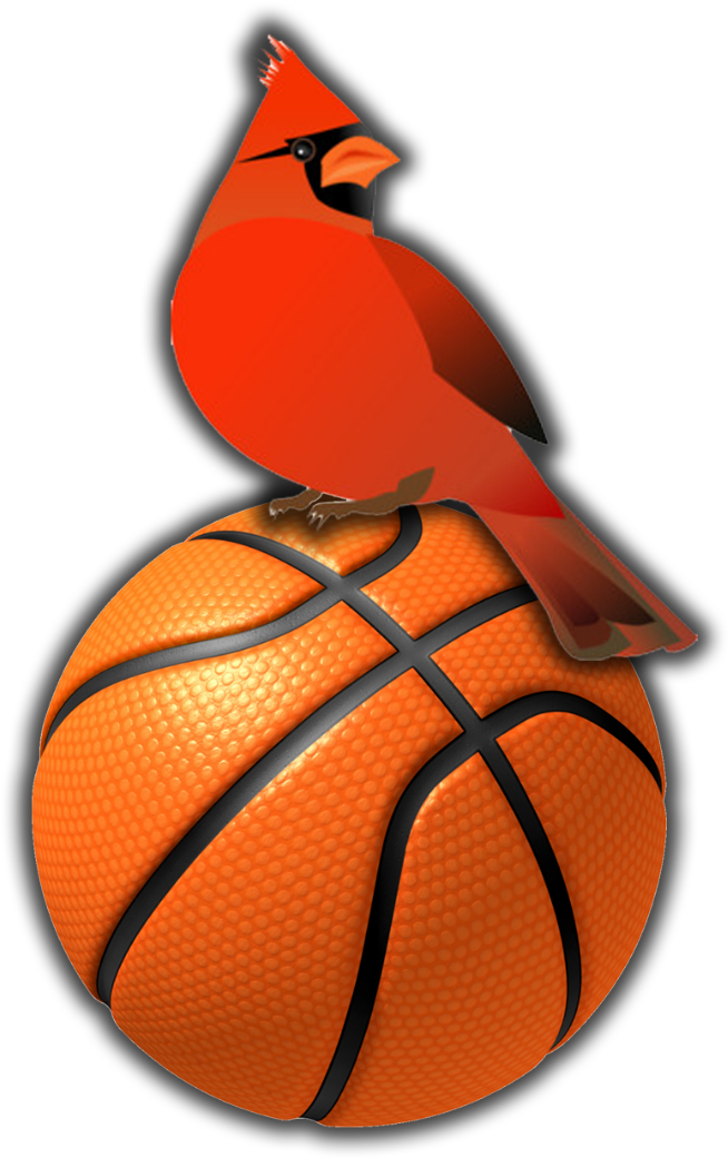The Woodlawn High School Cardinals Will Be Playing - Mario Sports Mix Basketball (1080x1080), Png Download