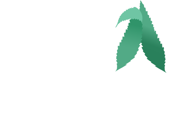 Ica Logo White 1 - Graphic Design (793x417), Png Download