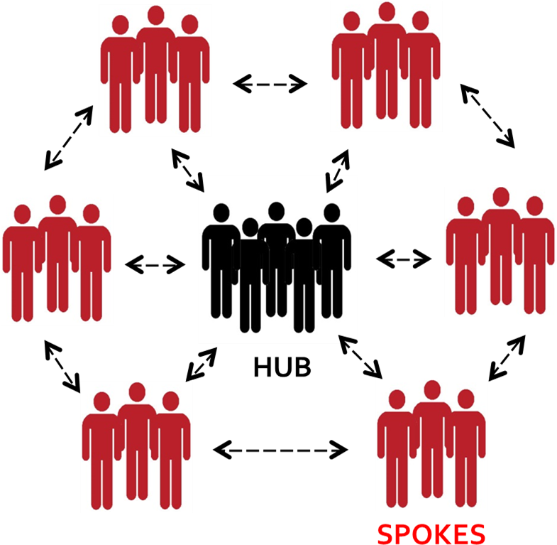 Project Echo Uses A Collaborative 'hub And Spoke' Model - Hub And Spoke Echo (784x802), Png Download