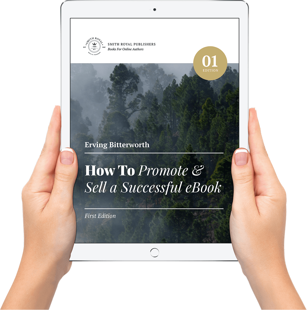 Ipad Hands 1 - Apple Ipad Family (1200x1212), Png Download