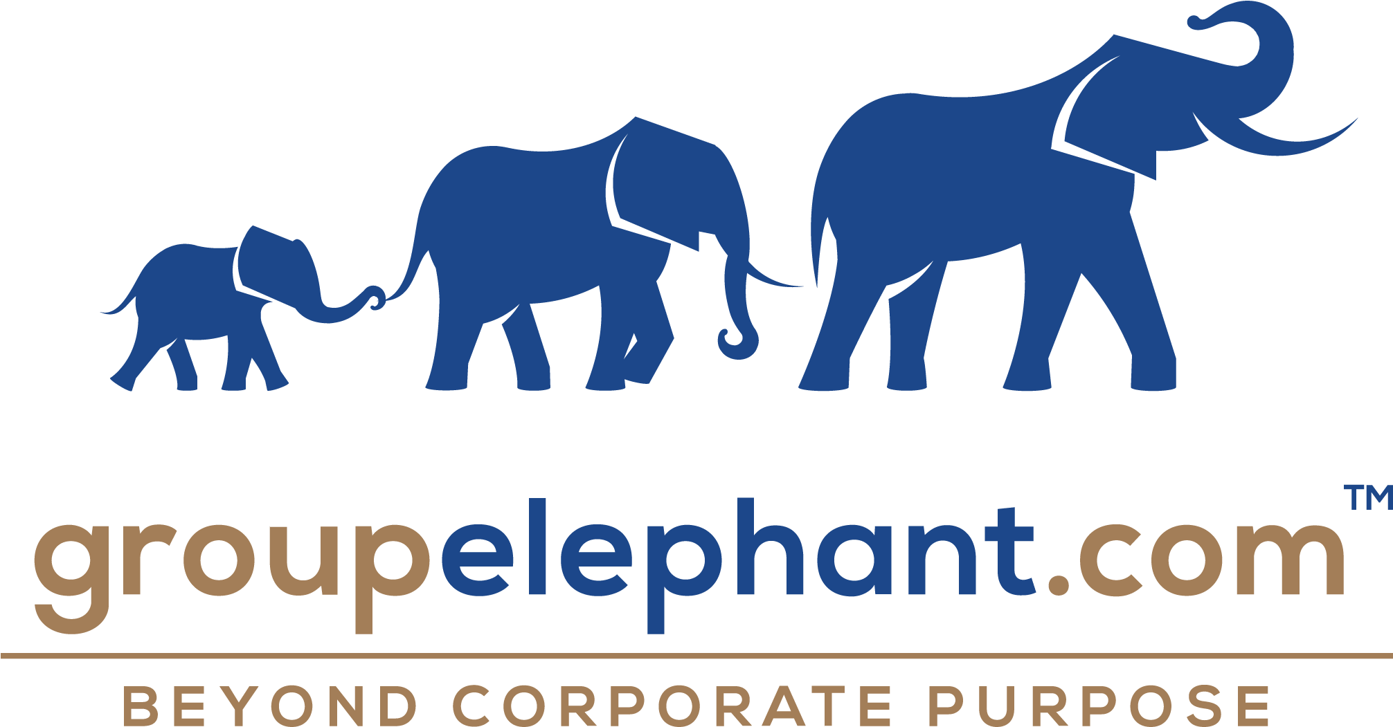 Part Of The Groupelephant - Indian Elephant (2019x1058), Png Download