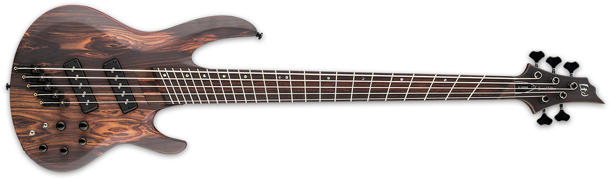 Ltd B 1005se Multi Scale - Ibanez Gsr250b Wnf (1200x360), Png Download