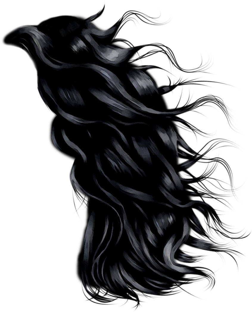 Integrations Artificial Hair Facebook Black Crowbar - Lace Wig (1080x1238), Png Download