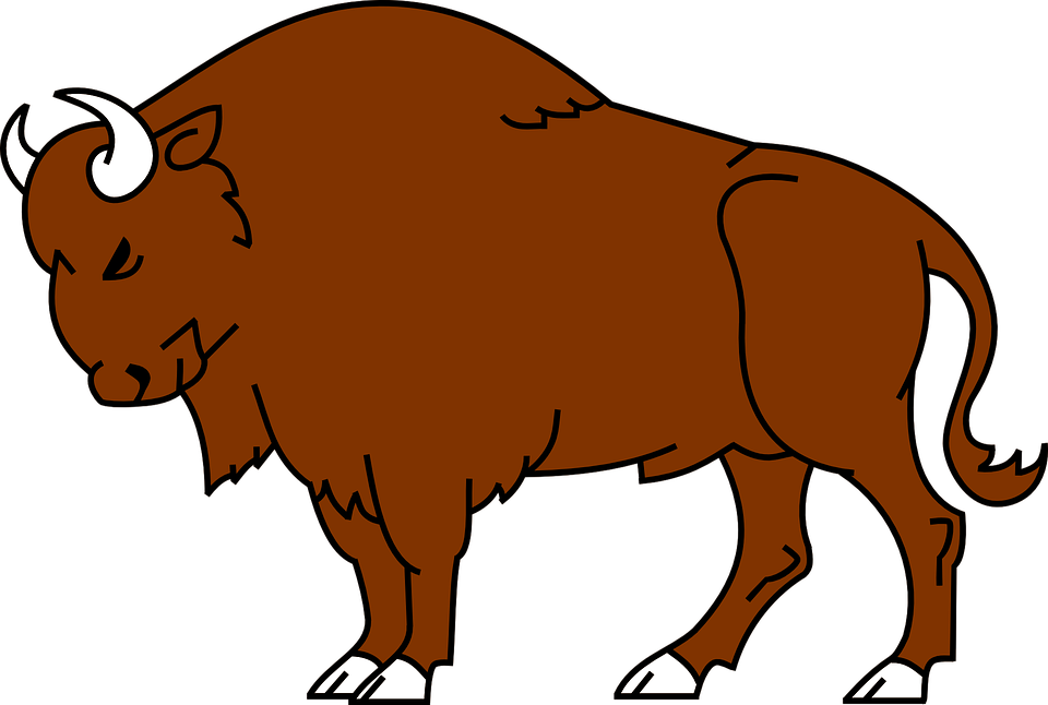 Bison Animal Wild Free Vector Graphic On (960x646), Png Download