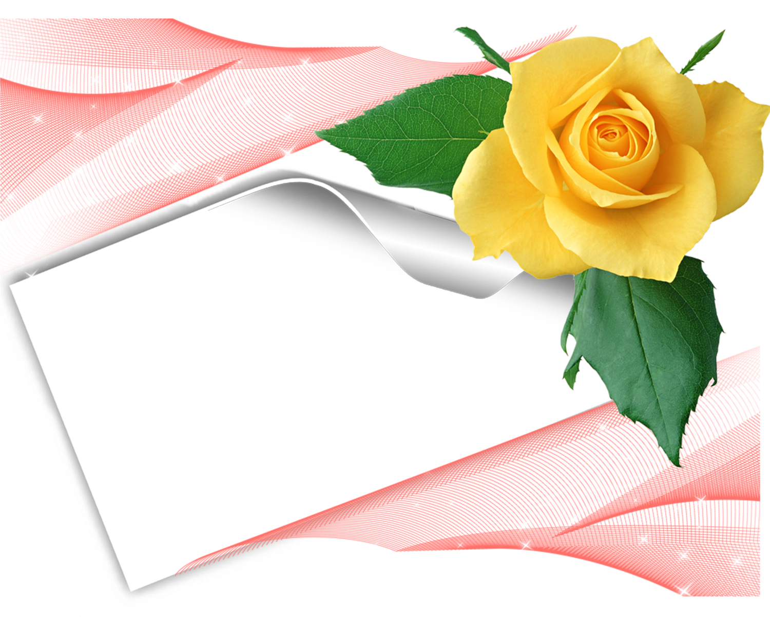 Jaune Rose - Floribunda (1500x1203), Png Download
