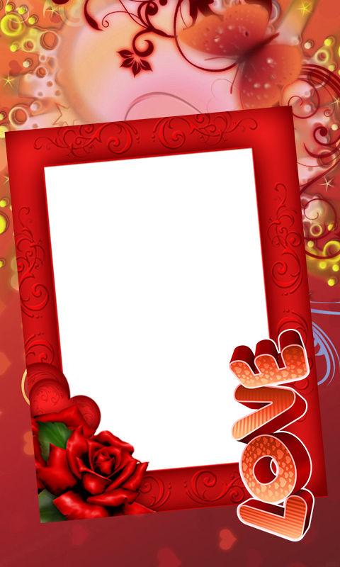 Picture Frame (480x800), Png Download