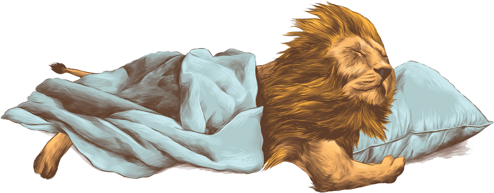 Lion Png - Lion Sleeping Cartoon (1000x491), Png Download