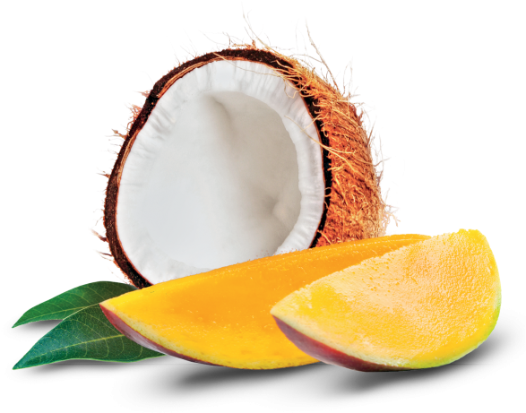 Coconut And Mango - Coconut Mango (866x650), Png Download