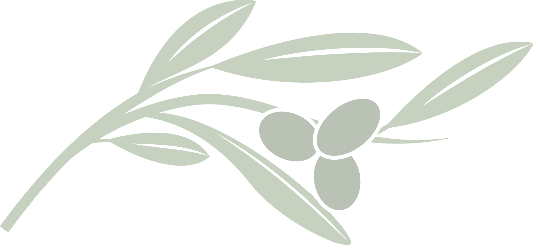 Campuscafe Leaf [converted] (1775x818), Png Download