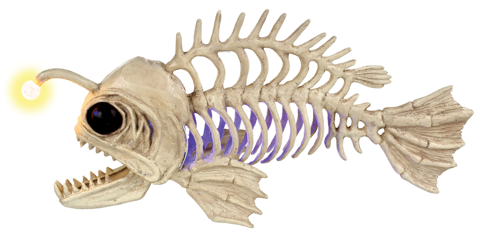 Light Up Deep Sea Fish - Seahorse (975x650), Png Download