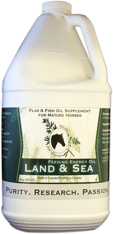 Skunk (776x1024), Png Download