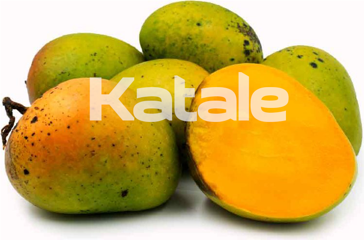 Alphonso Mangoes - Mango (801x801), Png Download