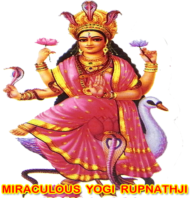 Worlds No 1 Vastu Expert - Ganesh Chaturthi (720x680), Png Download