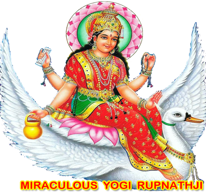 Worlds No 1 Vastu Expert - Art (720x680), Png Download