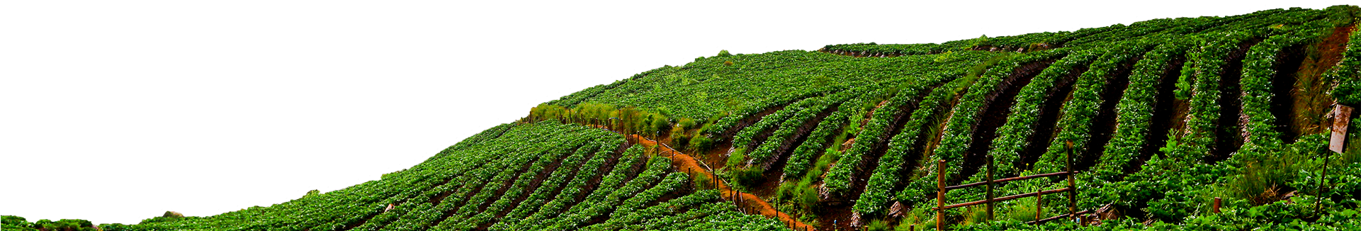 Better World - Field (1920x695), Png Download