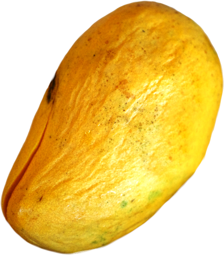 Overripe Ataulfo Mangos Should Be Rejected - Overripe Mango (817x938), Png Download
