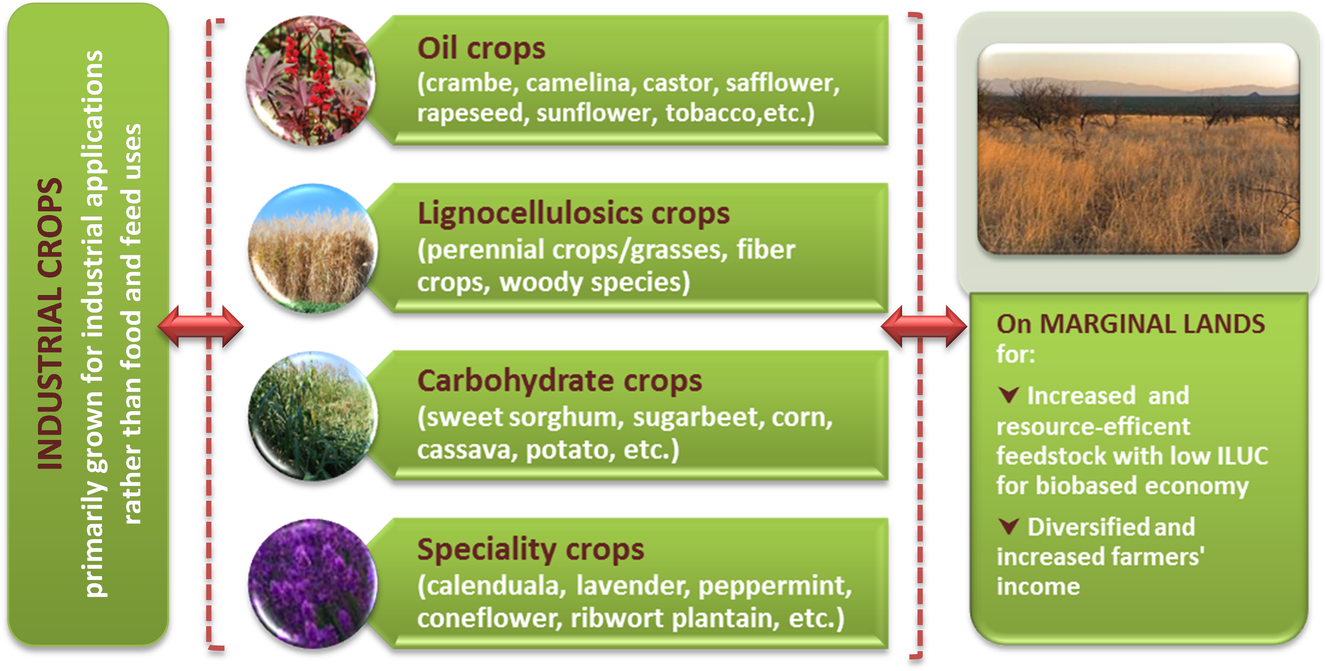 Figure 1 Magic Explores The Cultivation Of Industrial - Parallel (4235x2489), Png Download