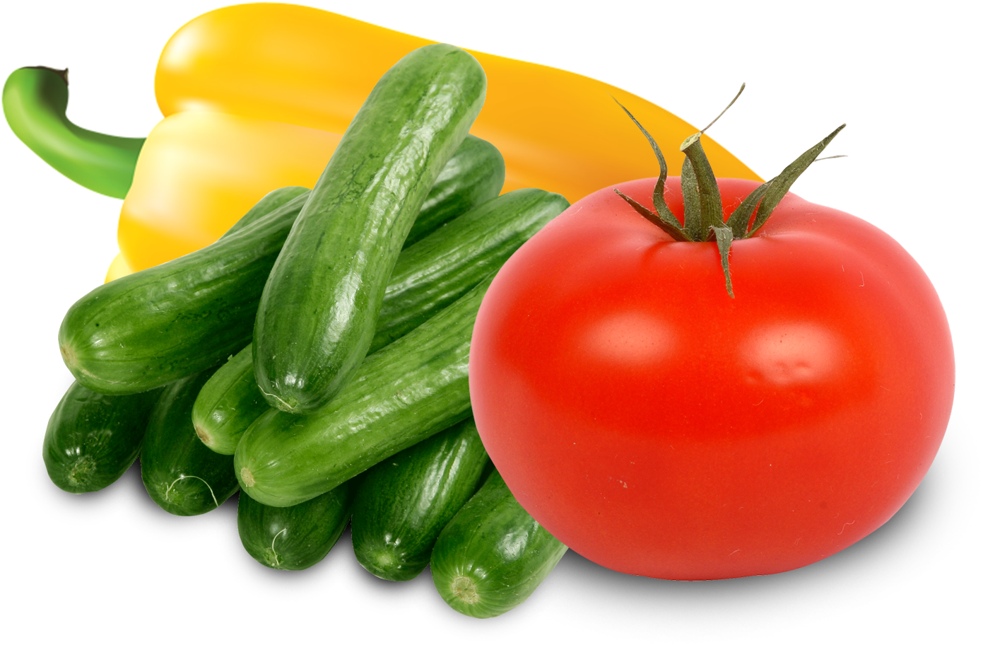 Drygair Is A Useful Growing Tool For A Variety Of Crops - Transparent Background Cucumber Png (1597x1125), Png Download
