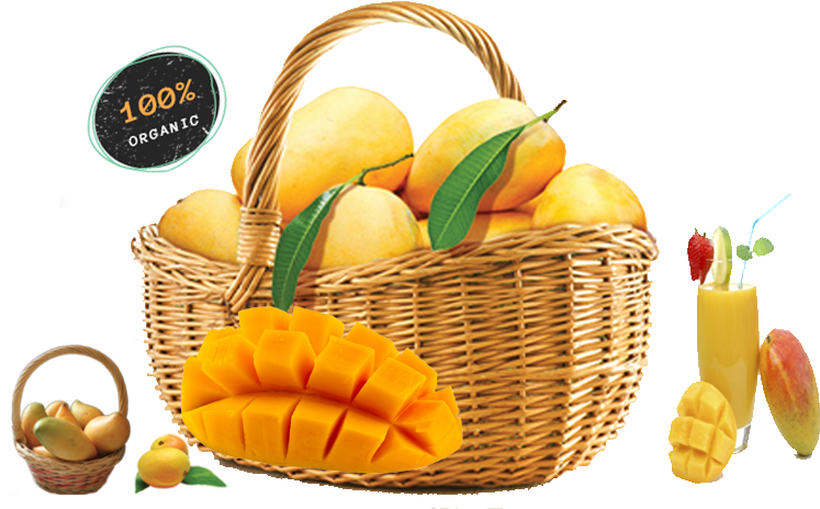 Natural Taste From Dakle Farm - Basket Of Mango Png (1005x503), Png Download