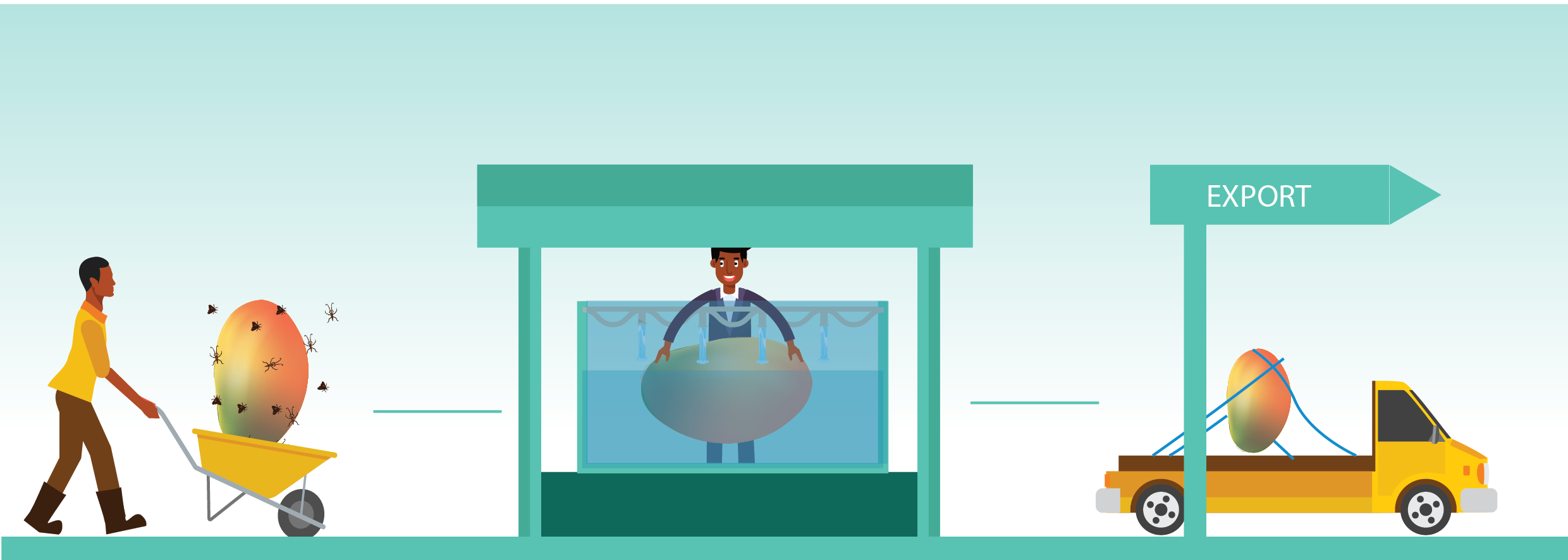 Promotion Of Postharvest Disinfestation Of Key Horticultural (2480x886), Png Download