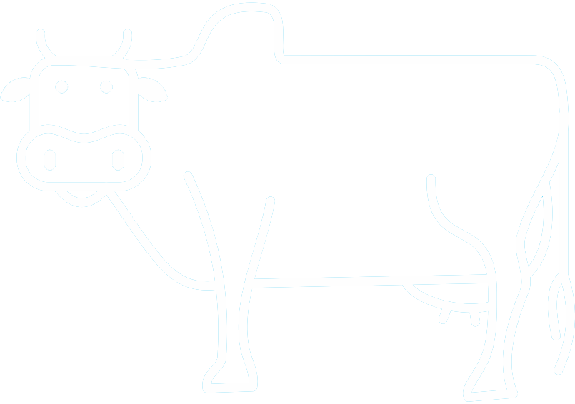 Brajdhara Nutrition India Pvt - Bull (805x566), Png Download