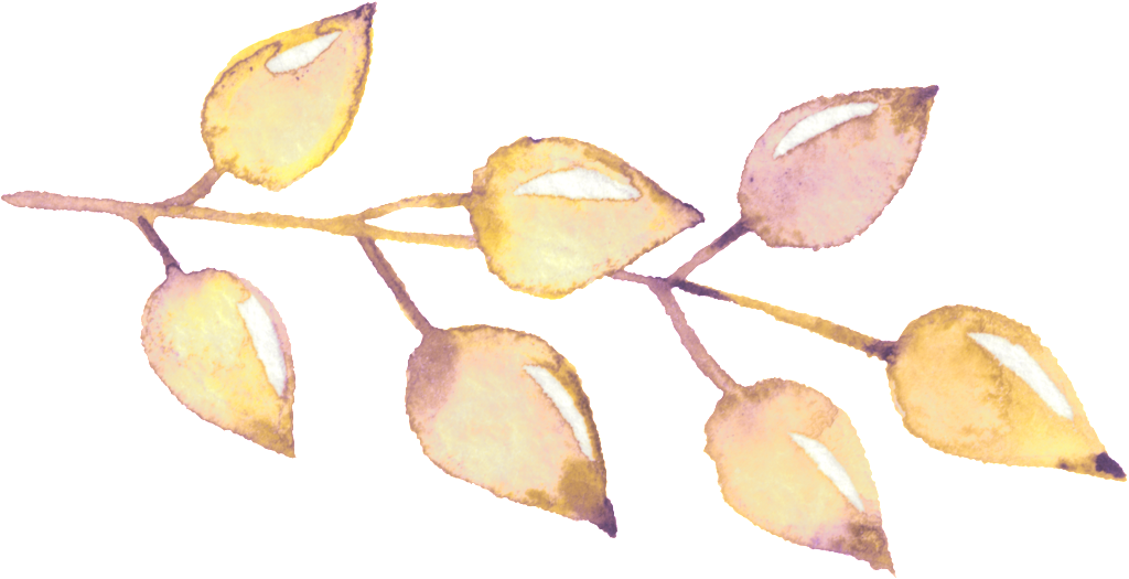 Crystal Flower Leaf Transparent Decorative - Painting (1024x525), Png Download