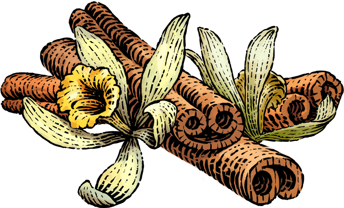 Transparent Stock Siggi S Icelandic Style Yogurt Skyr - Siggi's Yogurt Vanilla Cinnamon (1287x792), Png Download