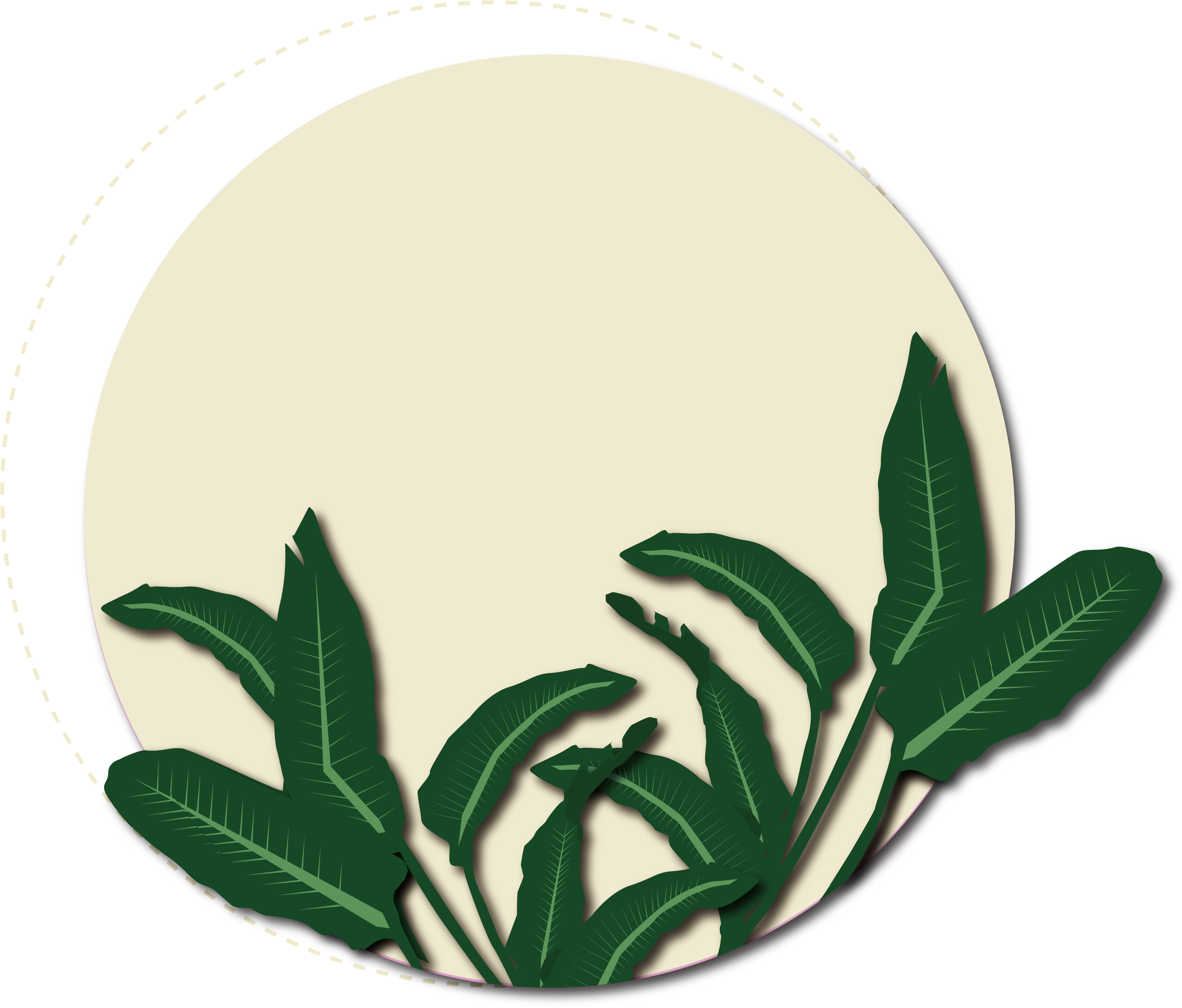 Download 矢量绿色植物黄色背景 Circle Png Image With No Background Pngkey Com Download 矢量绿色植物黄色背景 Circle Png Image With No Background Pngkey Com