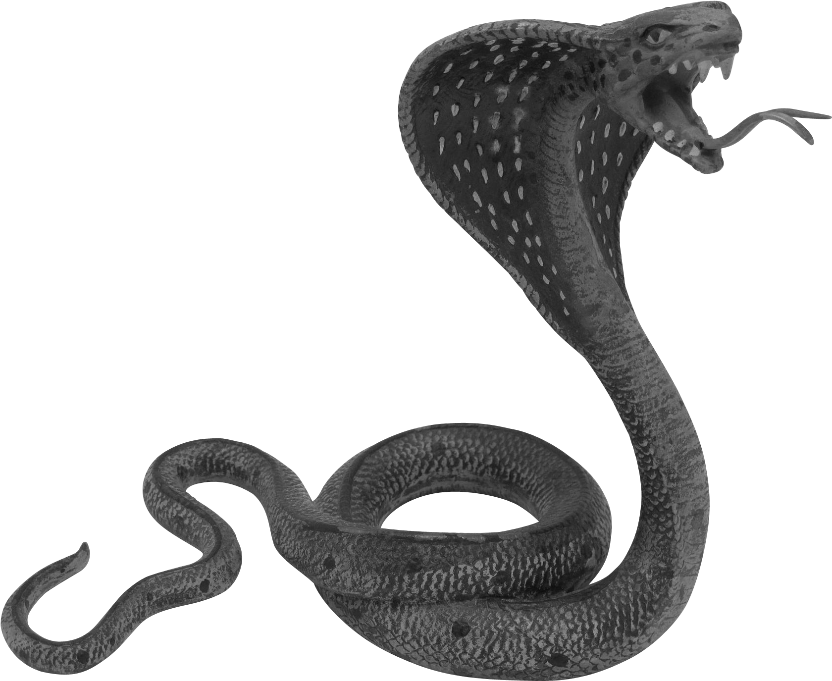 Kalsharp Dosh (1679x1679), Png Download