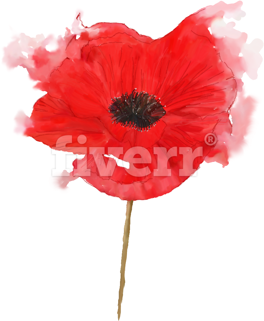 Birth Flower (1181x1181), Png Download