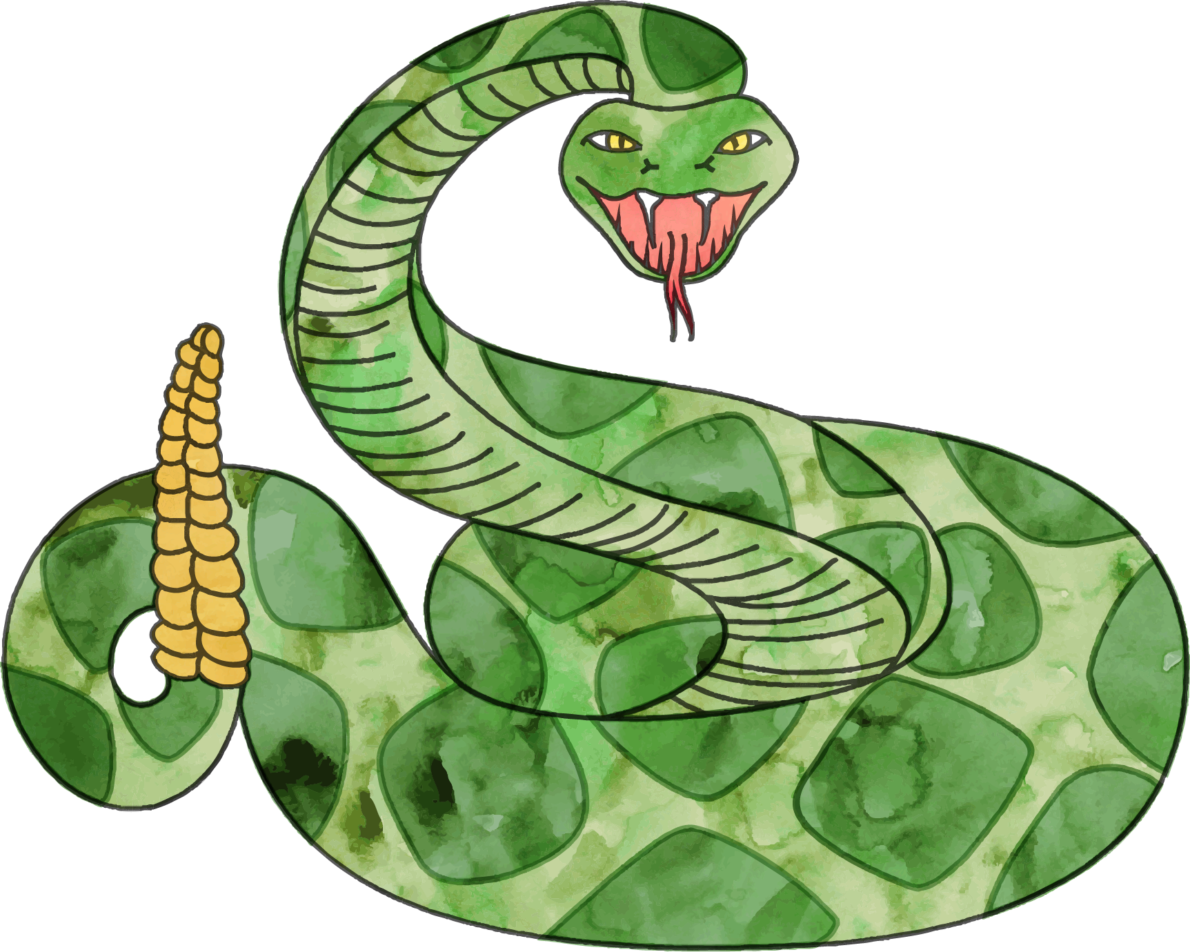 Share This Article - Rattlesnake Clipart Free (1725x1380), Png Download