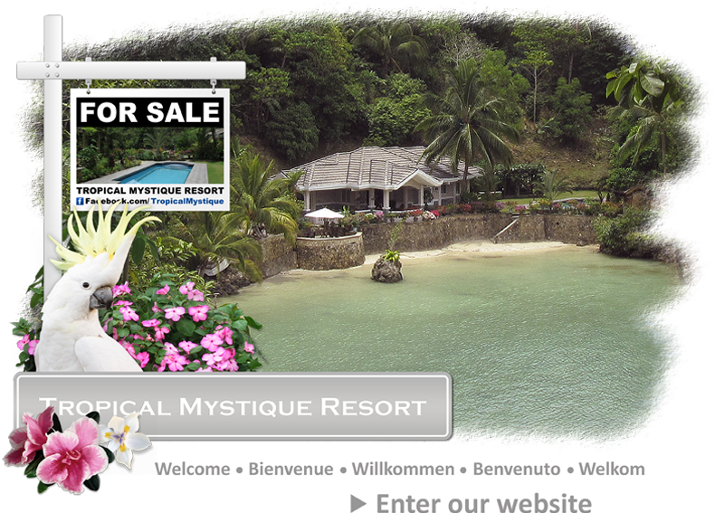 Welcome To The Tropical Mystique Resort - Tropical Mystique Resort (800x600), Png Download